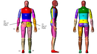 NEWTON暖體假人在紡織科學(xué)技術(shù)研究中的應(yīng)用與價(jià)值